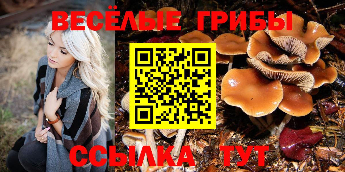 Спасск-Дальний  Псилоцибиновые грибы Psilocybe  как найти закладки  Вход с VPN 